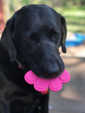 SP Paw Print Ultra Durable Nylon Dog Chew Toy for Aggressive Chewers - Pink.
