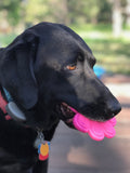 SP Paw Print Ultra Durable Nylon Dog Chew Toy for Aggressive Chewers - Pink.
