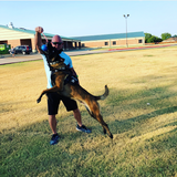 USA-K9 Cherry Bomb Durable Rubber Chew Toy, Treat Dispenser, Reward Toy, Tug Toy, and Retrieving Toy.