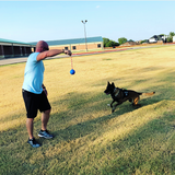 USA-K9 Cherry Bomb Durable Rubber Chew Toy, Treat Dispenser, Reward Toy, Tug Toy, and Retrieving Toy.