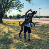 USA-K9 Cherry Bomb Durable Rubber Chew Toy, Treat Dispenser, Reward Toy, Tug Toy, and Retrieving Toy.