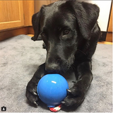 USA-K9 Cherry Bomb Durable Rubber Chew Toy, Treat Dispenser, Reward Toy, Tug Toy, and Retrieving Toy.