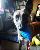 USA-K9 Grenade Durable Rubber Chew Toy, Treat Dispenser, Reward Toy, Tug Toy, and Retrieving Toy.