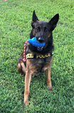 USA-K9 Grenade Durable Rubber Chew Toy, Treat Dispenser, Reward Toy, Tug Toy, and Retrieving Toy.