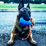USA-K9 Grenade Durable Rubber Chew Toy, Treat Dispenser, Reward Toy, Tug Toy, and Retrieving Toy.