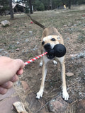 USA-K9 Magnum Skull Durable Rubber Chew Toy, Treat Dispenser, Reward Toy, Tug Toy, and Retrieving Toy - Black Magnum.