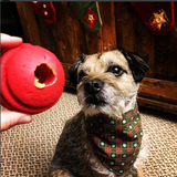 USA-K9 Stars and Stripes Ultra-Durable Rubber Chew Ball - Red.
