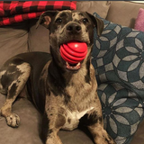 USA-K9 Stars and Stripes Ultra-Durable Rubber Chew Ball - Red.