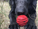 USA-K9 Stars and Stripes Ultra-Durable Rubber Chew Ball - Red.