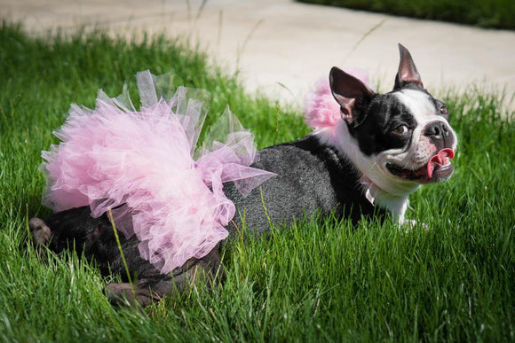 Light Pink Dog Tutu Skirt | XS-XXXL.