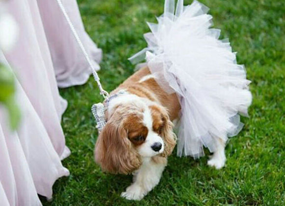 White Bridal Dog Tutu Skirt | XS-XXXL.