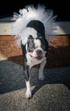 White Bridal Dog Tutu Skirt | XS-XXXL.
