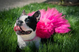 Hot Pink Dog Tutu Skirt | XS-XXXL.