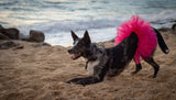 Hot Pink Dog Tutu Skirt | XS-XXXL.