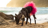 Hot Pink Dog Tutu Skirt | XS-XXXL.
