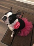 Hot Pink Dog Tutu Skirt | XS-XXXL.