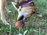 MKB Football Durable Rubber Chew Toy and Treat Dispenser - Large - Brown.