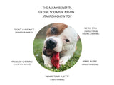 Starfish Ultra Durable Nylon Dog Chew Toy for Aggressive Chewers.